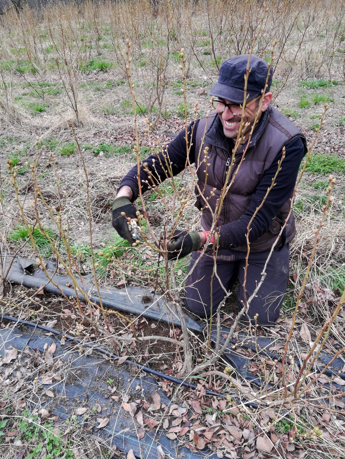 Si inizia con la&nbsp;potatura