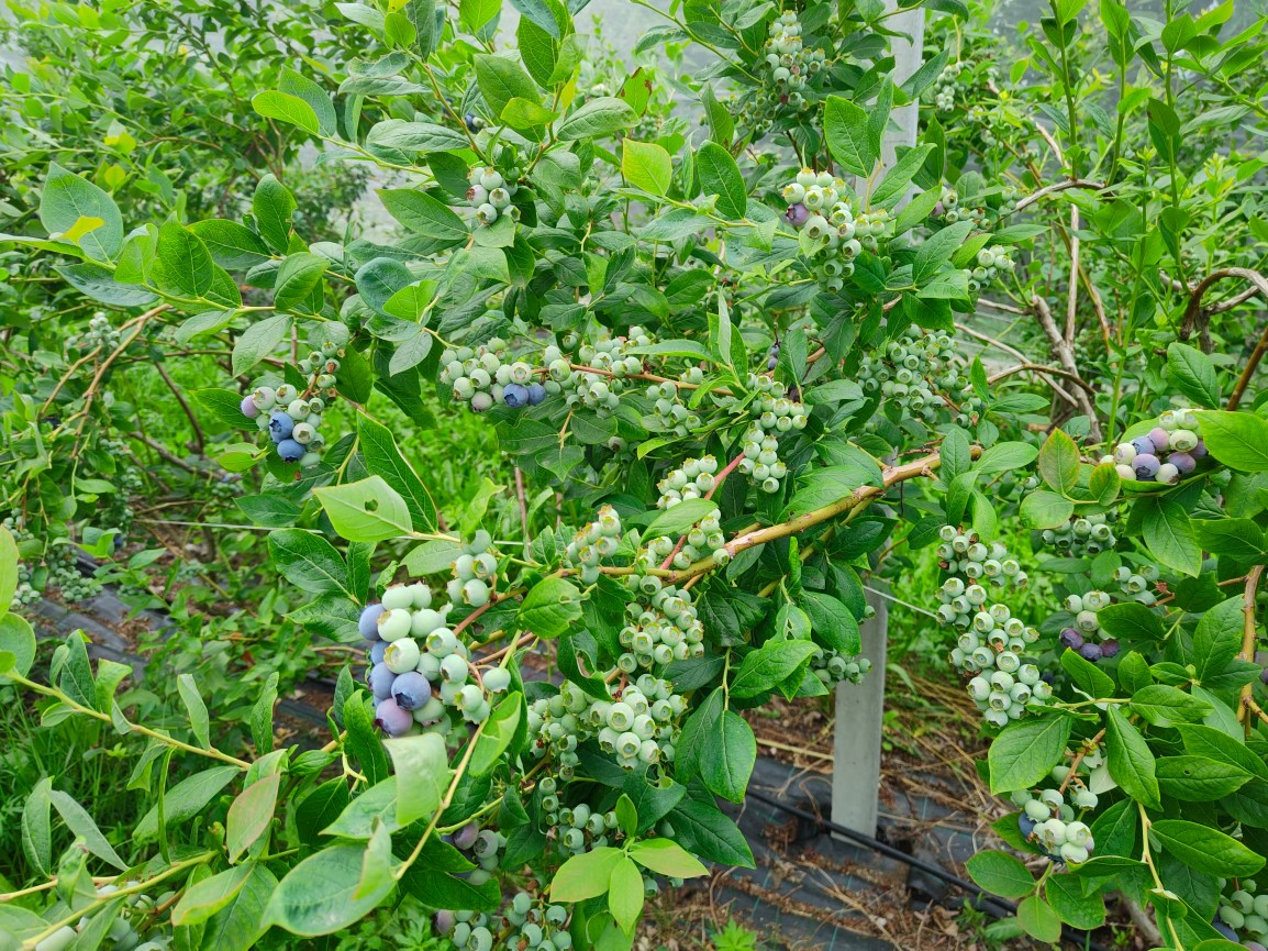 Manca ancora un po’ di&nbsp;sole…